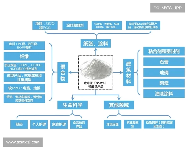 足球俱乐部转会规划策略分析与未来发展方向探讨 足球俱乐部转会规划策略分析与未来发展方向探讨