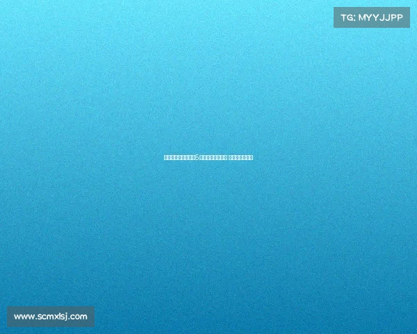 韩媒报道孙兴慜将于5日下午飞往洛杉矶 赴美开启新征程